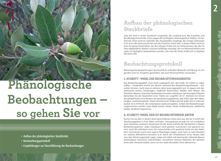 Beispielinhalt (Bild) Pflanzen im Rhythmus der Jahreszeiten beobachten