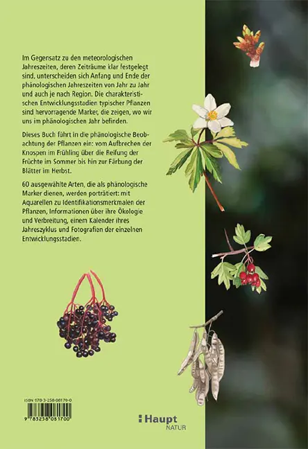 Rückseitencover Pflanzen im Rhythmus der Jahreszeiten beobachten