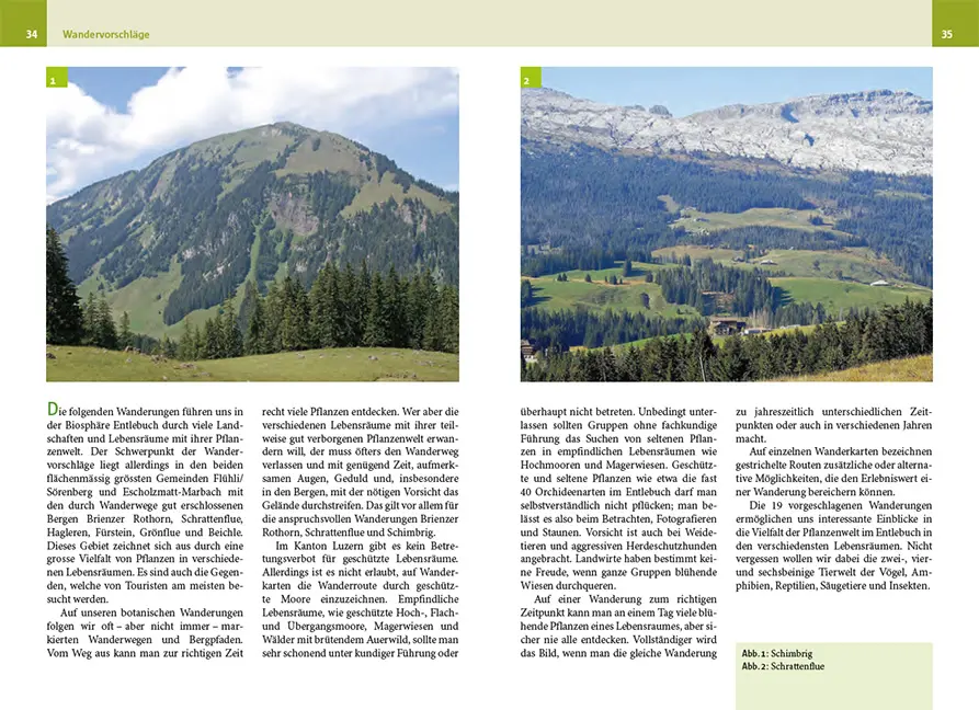Beispielinhalt (Bild) Botanische Wanderungen in der UNESCO Biosphäre Entlebuch