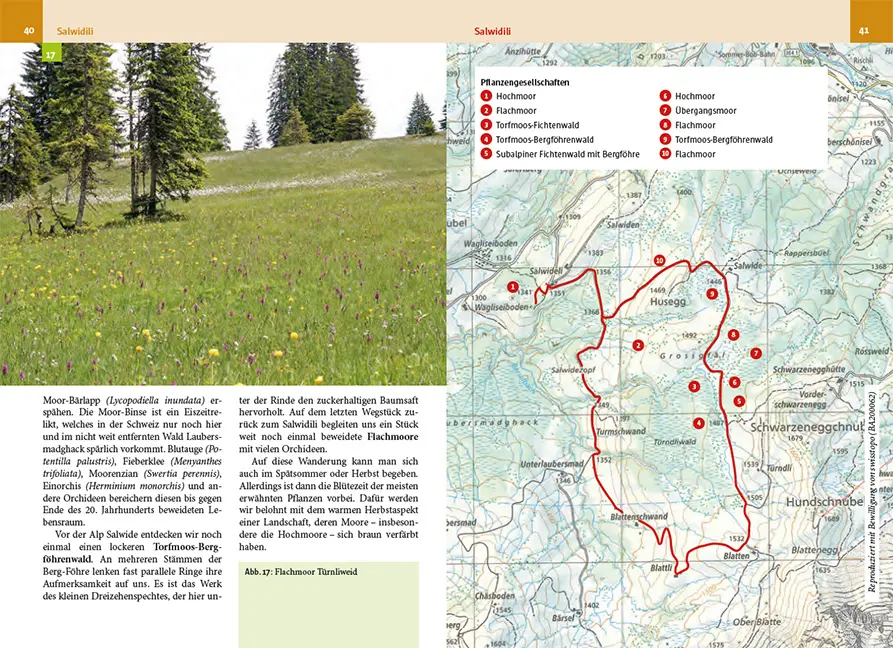 Beispielinhalt (Bild) Botanische Wanderungen in der UNESCO Biosphäre Entlebuch
