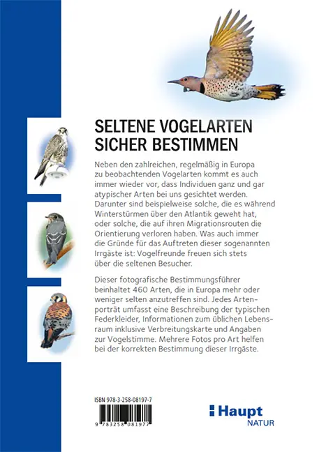 Rückseitencover Irrgäste