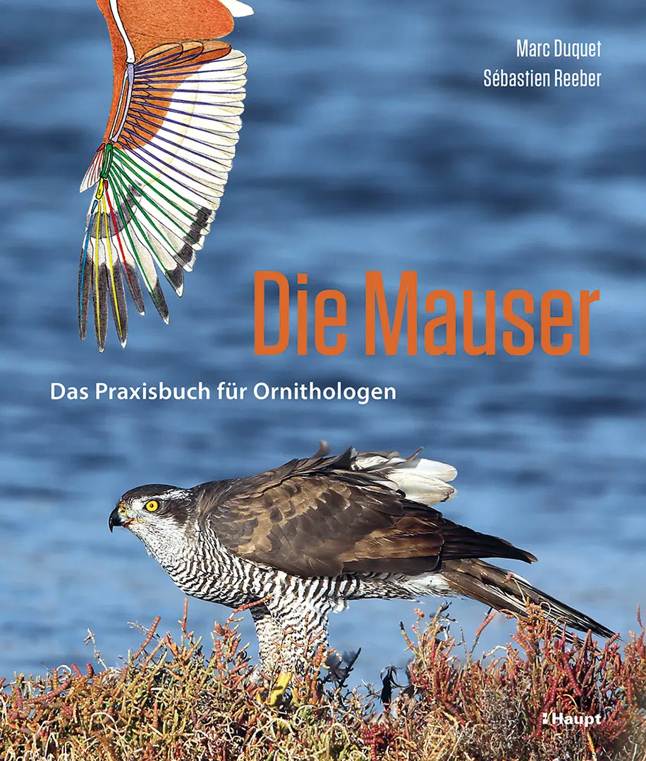 Vorderes Coverbild Die Mauser