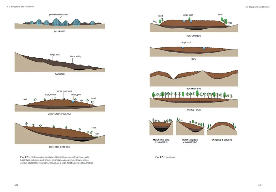 Beispielinhalt (Bild) Quaternary Vegetation Dynamics of Europe