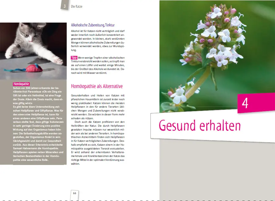 Beispielinhalt (Bild) Heilende Kräuter für Tiere