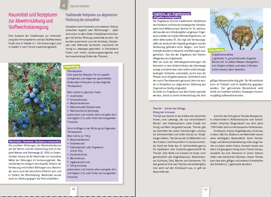 Beispielinhalt (Bild) Heilende Kräuter für Tiere