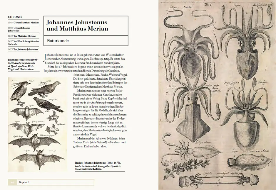 Beispielinhalt (Bild) Tiere ordnen