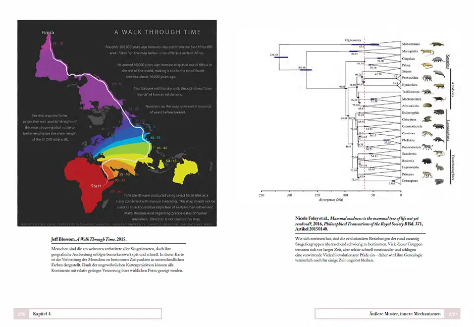 Beispielinhalt (Bild) Tiere ordnen