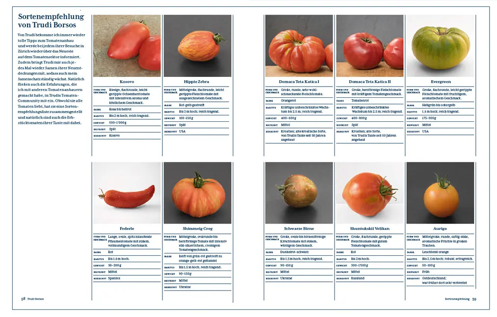 Beispielinhalt (Bild) Tomatenlust