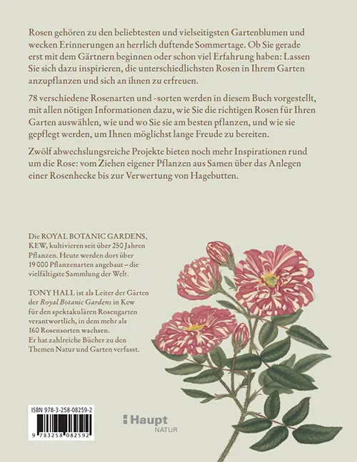 Rückseitencover Rosen