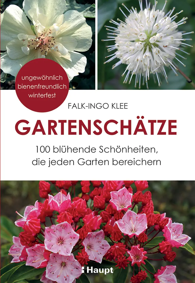 Vorderes Coverbild Gartenschätze