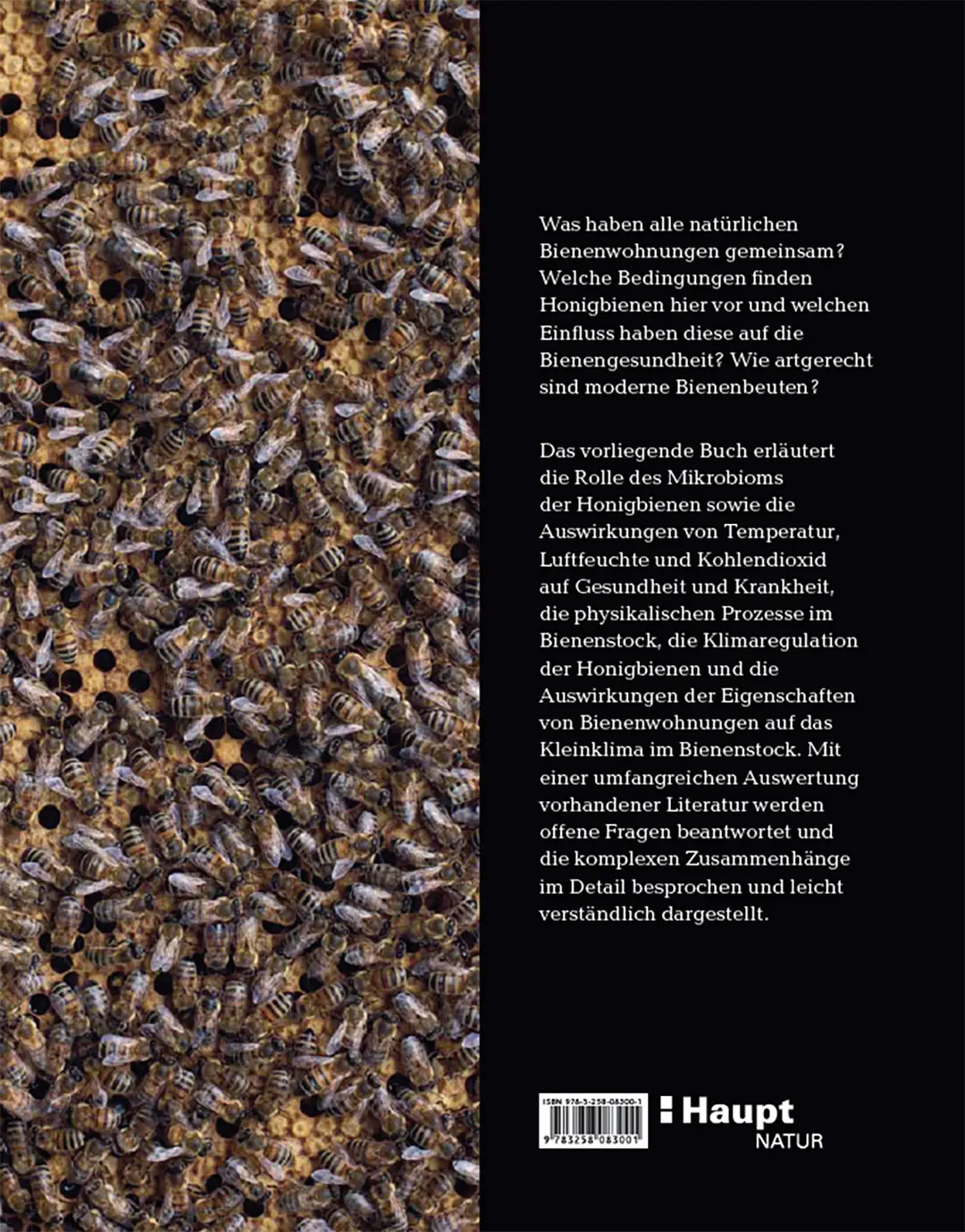 Rückseitencover Bienenbau und Bienenbeute