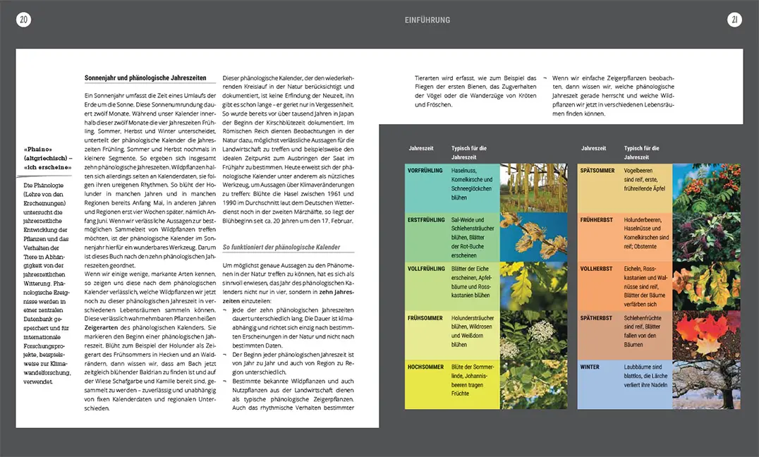 Beispielinhalt (Bild) Heilsame Wildpflanzen
