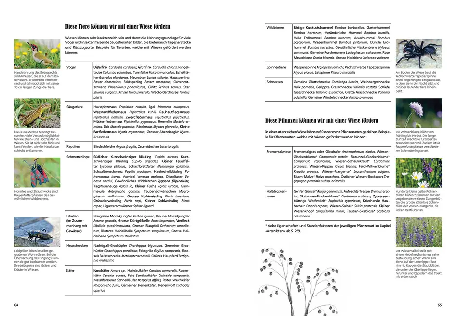 Beispielinhalt (Bild) Praxishandbuch Stadtnatur