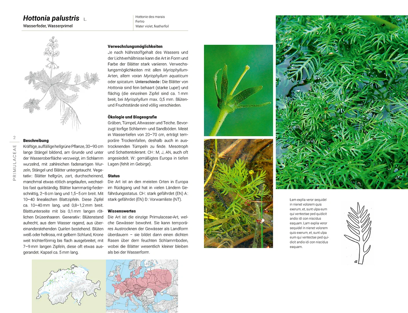 Beispielinhalt (Bild) Flora aquatica