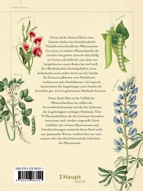 Rückseitencover Pflanzenfamilien