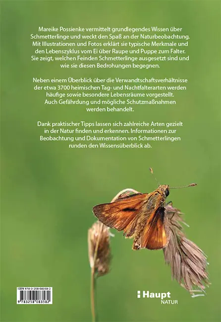 Rückseitencover Schmetterlingswissen