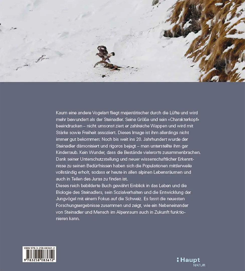 Rückseitencover Der Steinadler