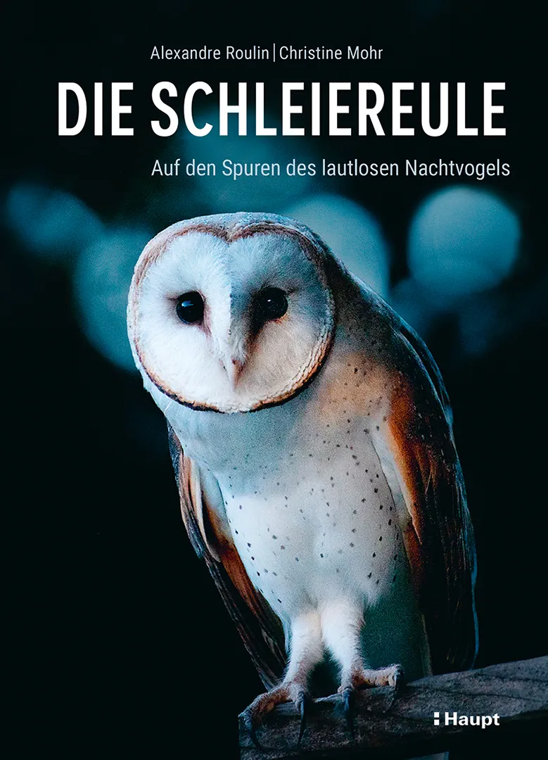 Vorderes Coverbild Die Schleiereule