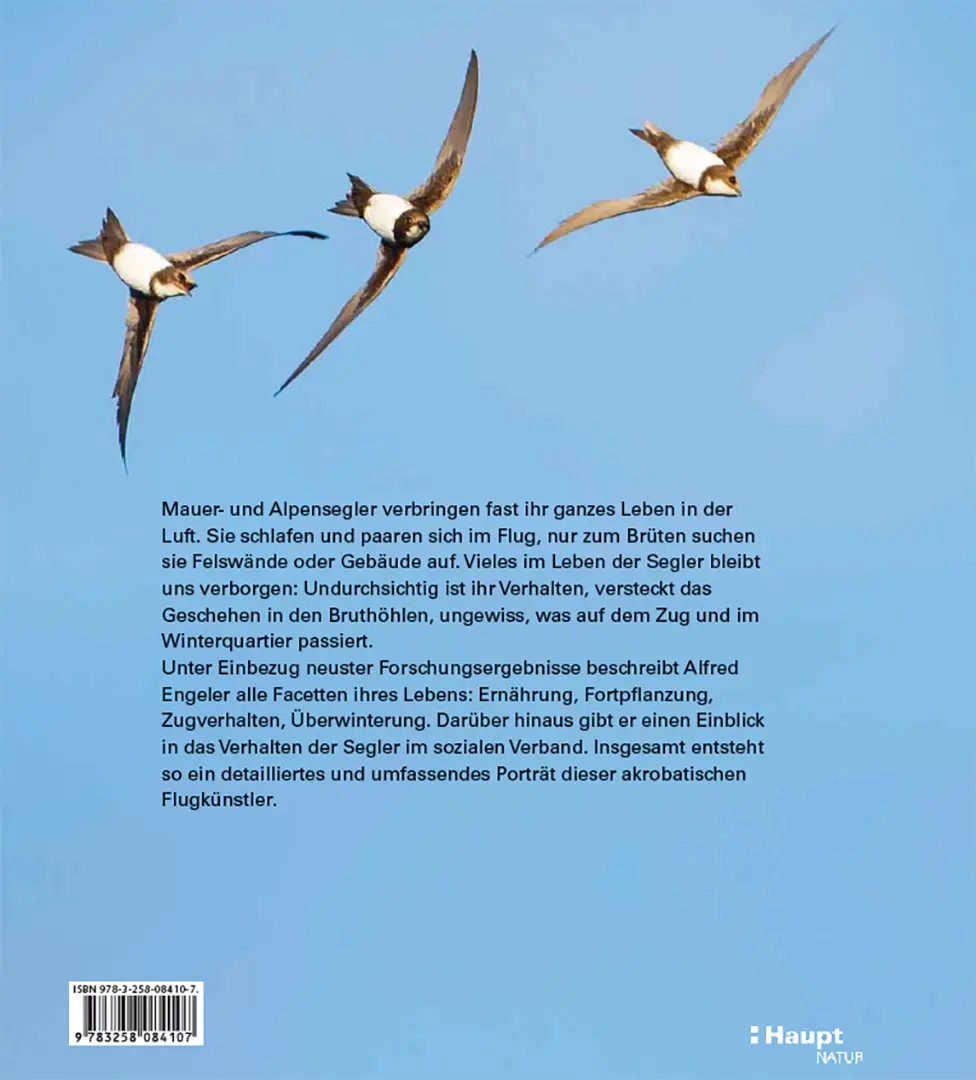 Rückseitencover Mauer- und Alpensegler