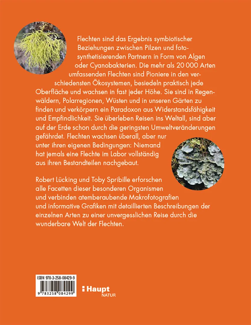 Beispielinhalt (Bild) Flechten