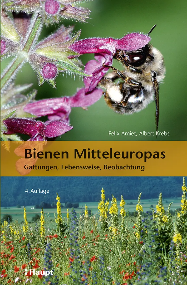 Vorderes Coverbild Bienen Mitteleuropas