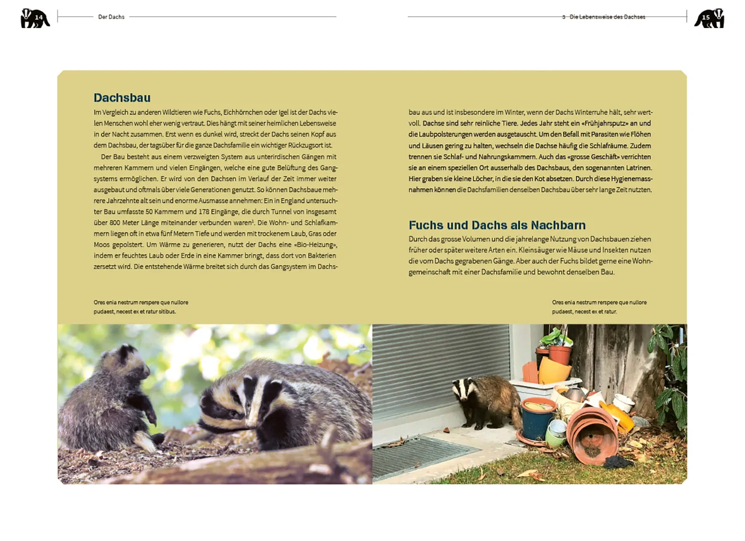 Beispielinhalt (Bild) Der Dachs