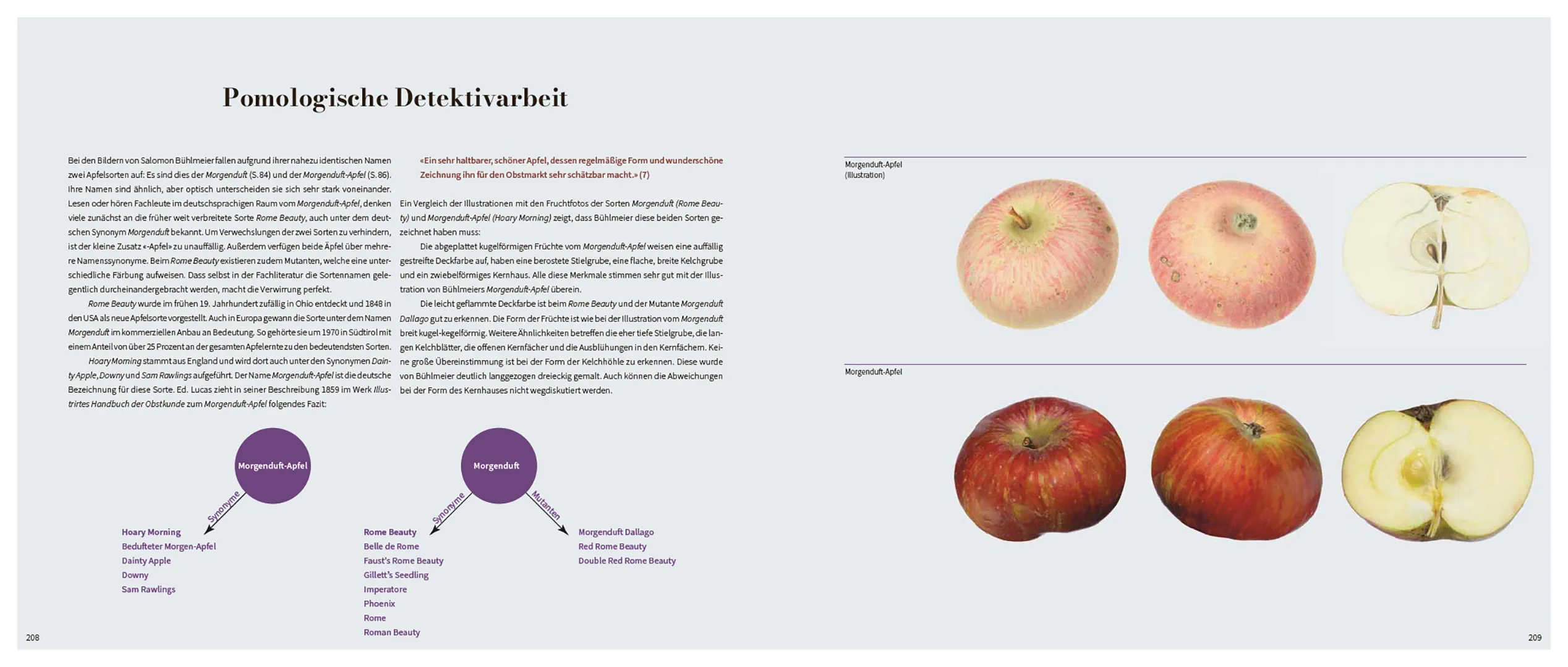 Beispielinhalt (Bild) Von edlem, süßweinartigem Zuckergeschmacke