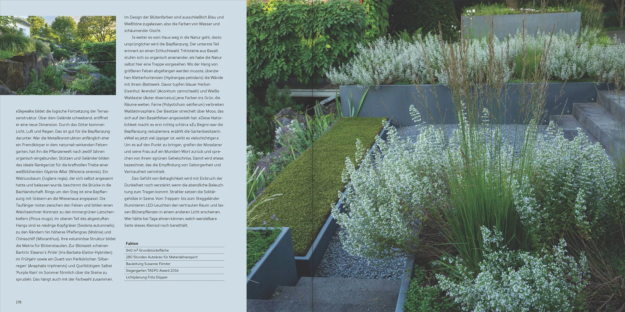 Beispielinhalt (Bild) Natur, Ästhetik, Design