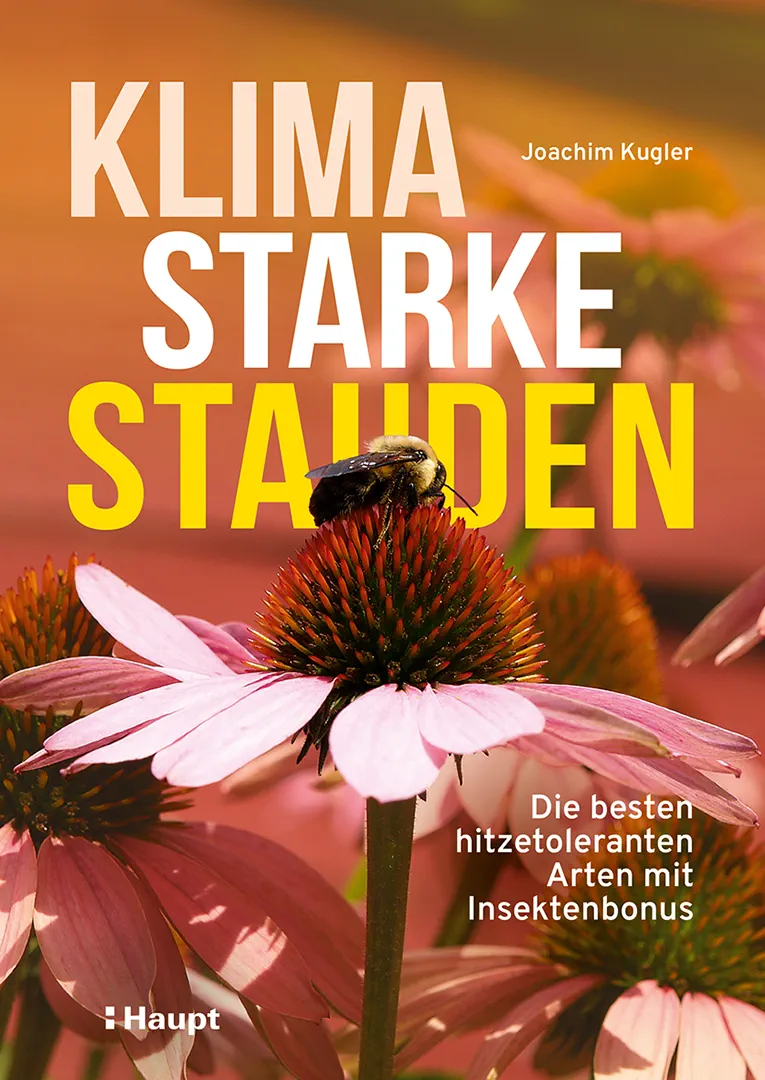 Vorderes Coverbild Klimastarke Stauden