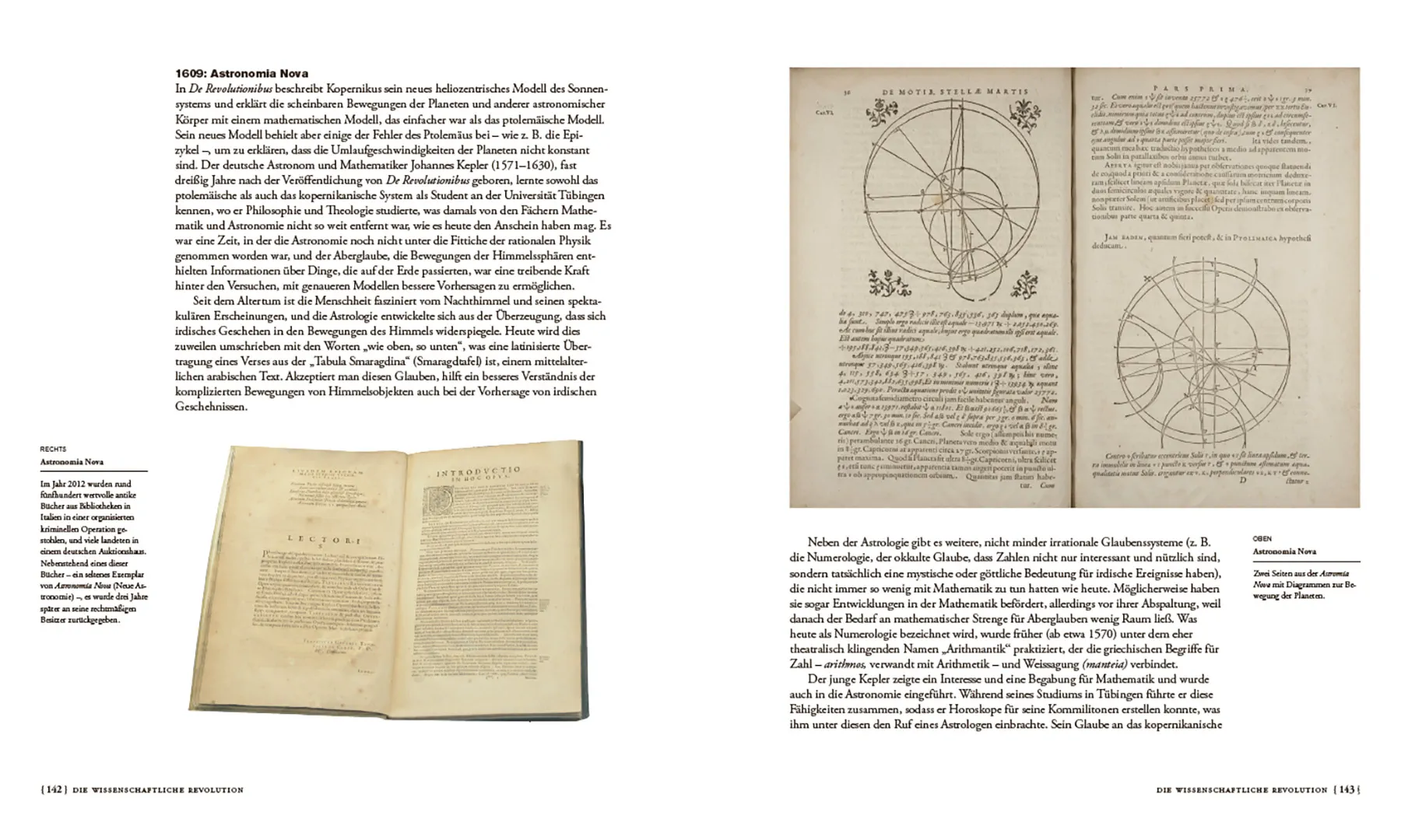 Beispielinhalt (Bild) Die Wurzeln des Wissens