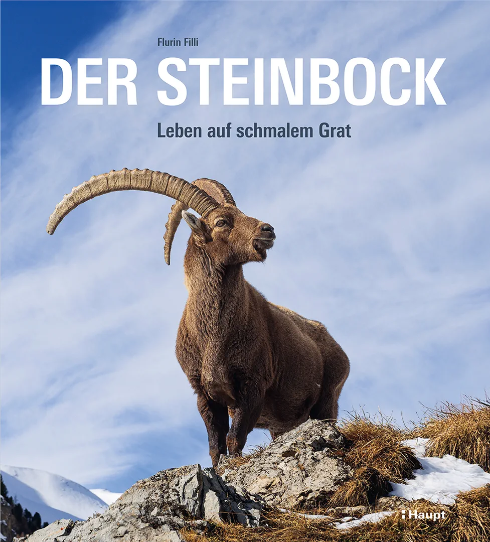 Vorderes Coverbild Der Steinbock