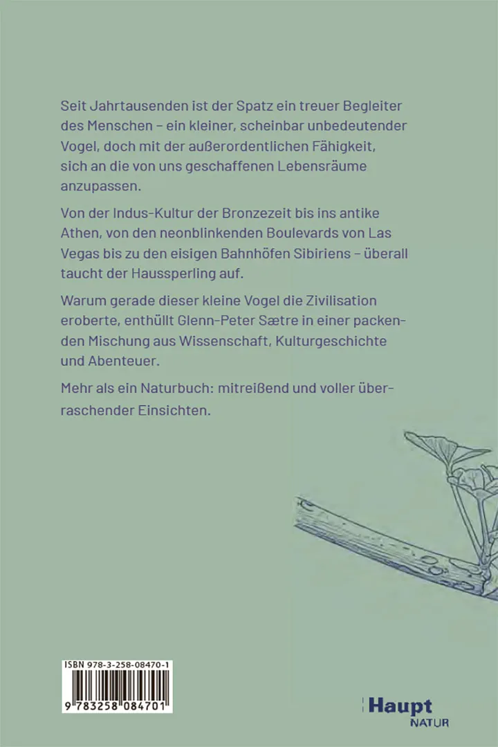 Rückseitencover Der Spatz