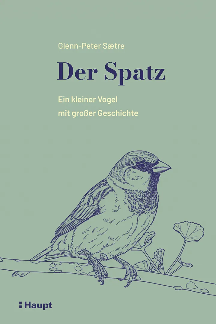 Vorderes Coverbild Der Spatz