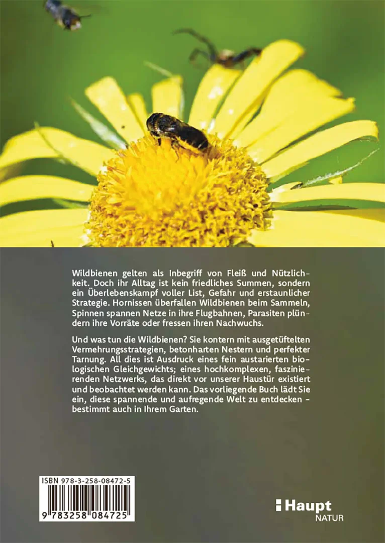 Rückseitencover Wildbienen haben es auch nicht leicht