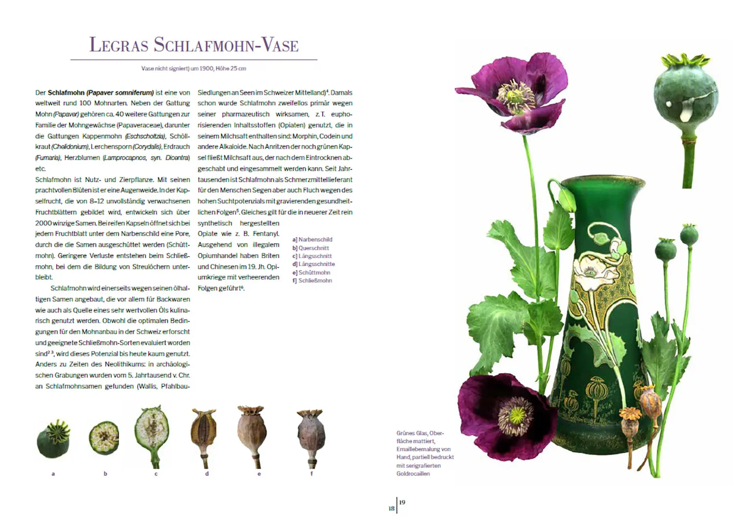 Beispielinhalt (Bild) Das Herbarium floraler Dekore