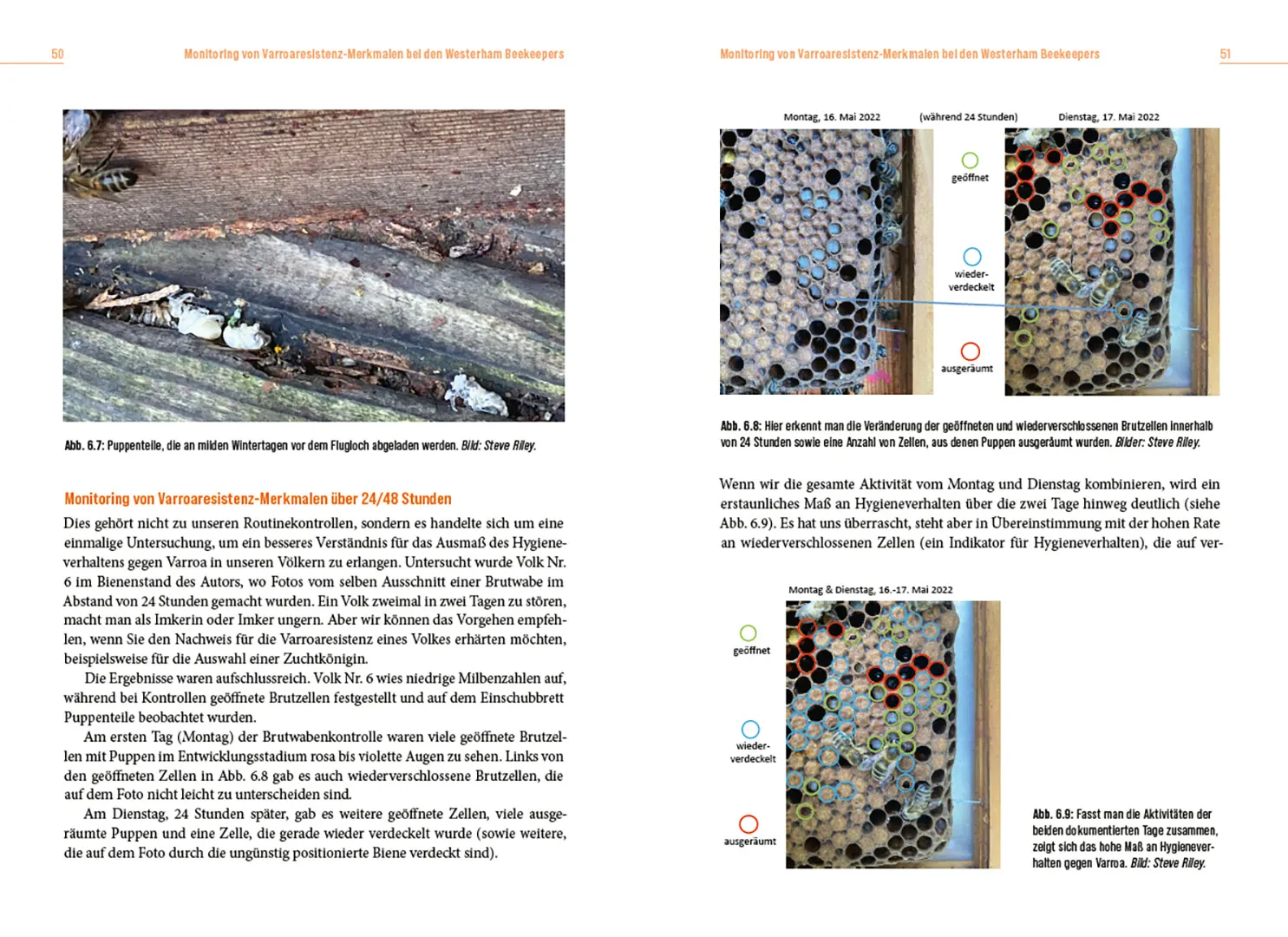 Beispielinhalt (Bild) Die Lösung der Honigbiene für das Varroa-Problem