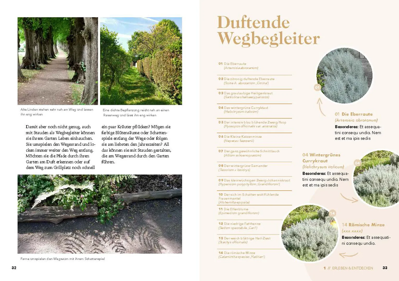 Beispielinhalt (Bild) Grün und glücklich