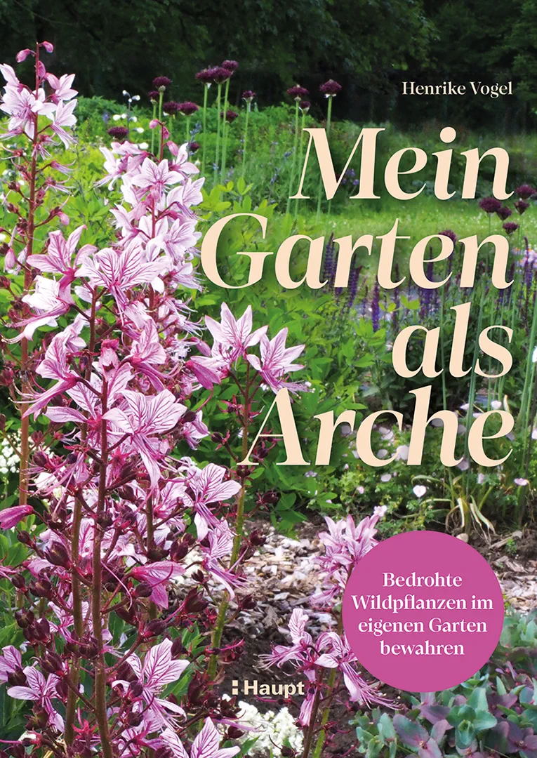 Vorderes Coverbild Mein Garten als Arche