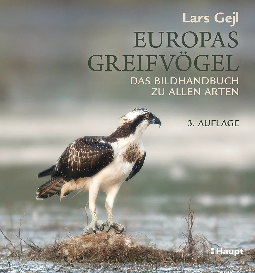 Vorderes Coverbild Europas Greifvögel