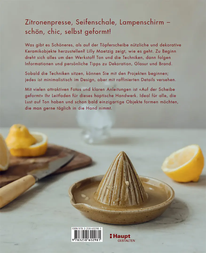 Rückseitencover Auf der Scheibe geformt