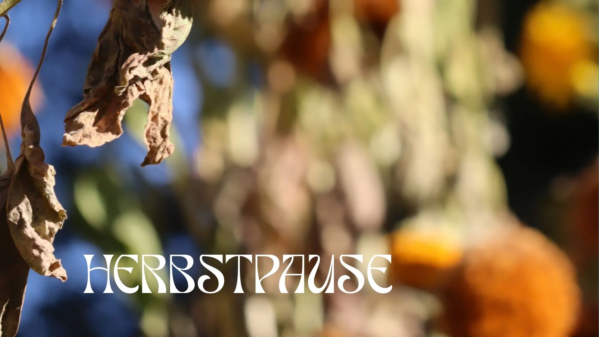 HERBSTPAUSE