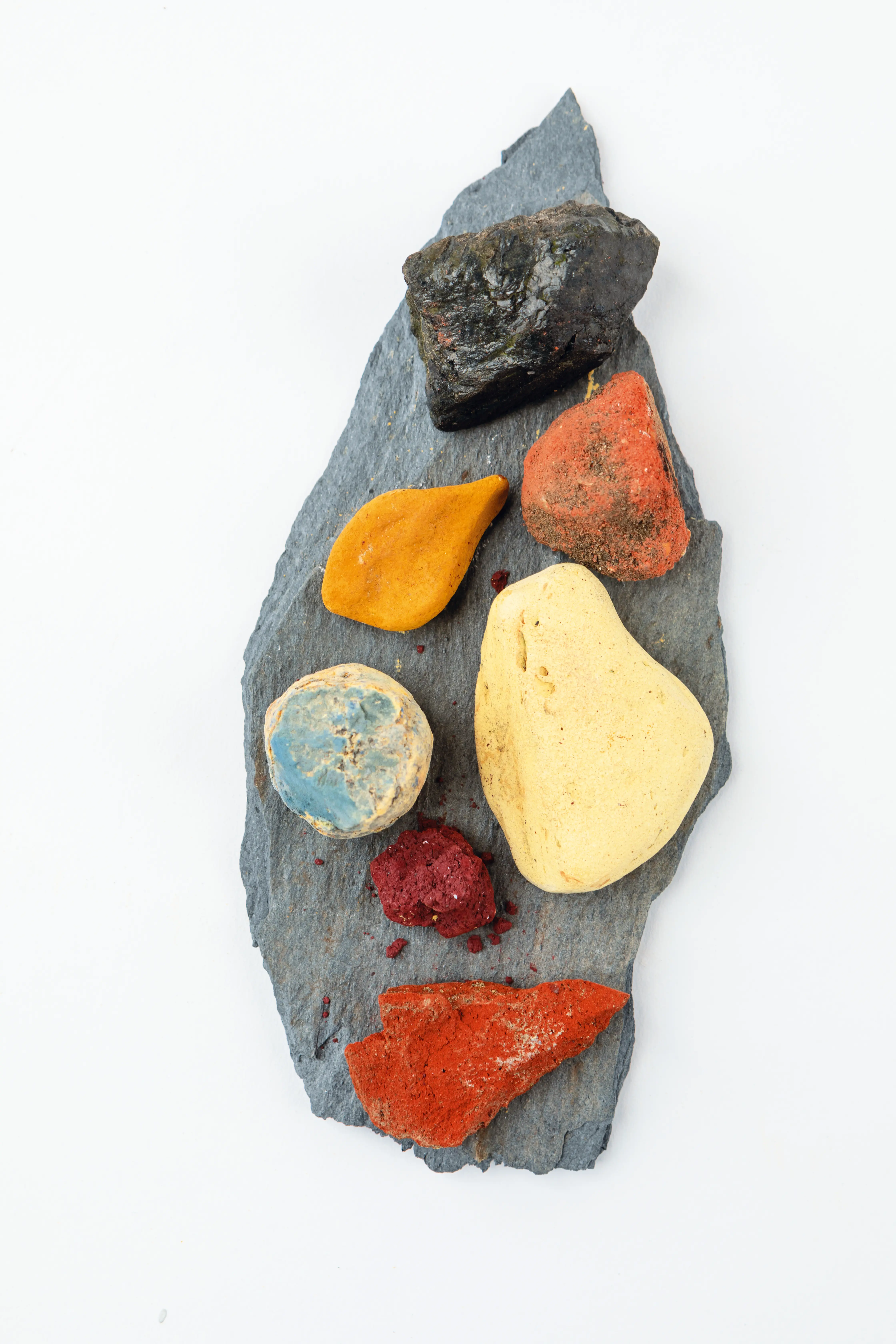 020_Ross_wildundbunt_9783258603070_(c)Mark Davison