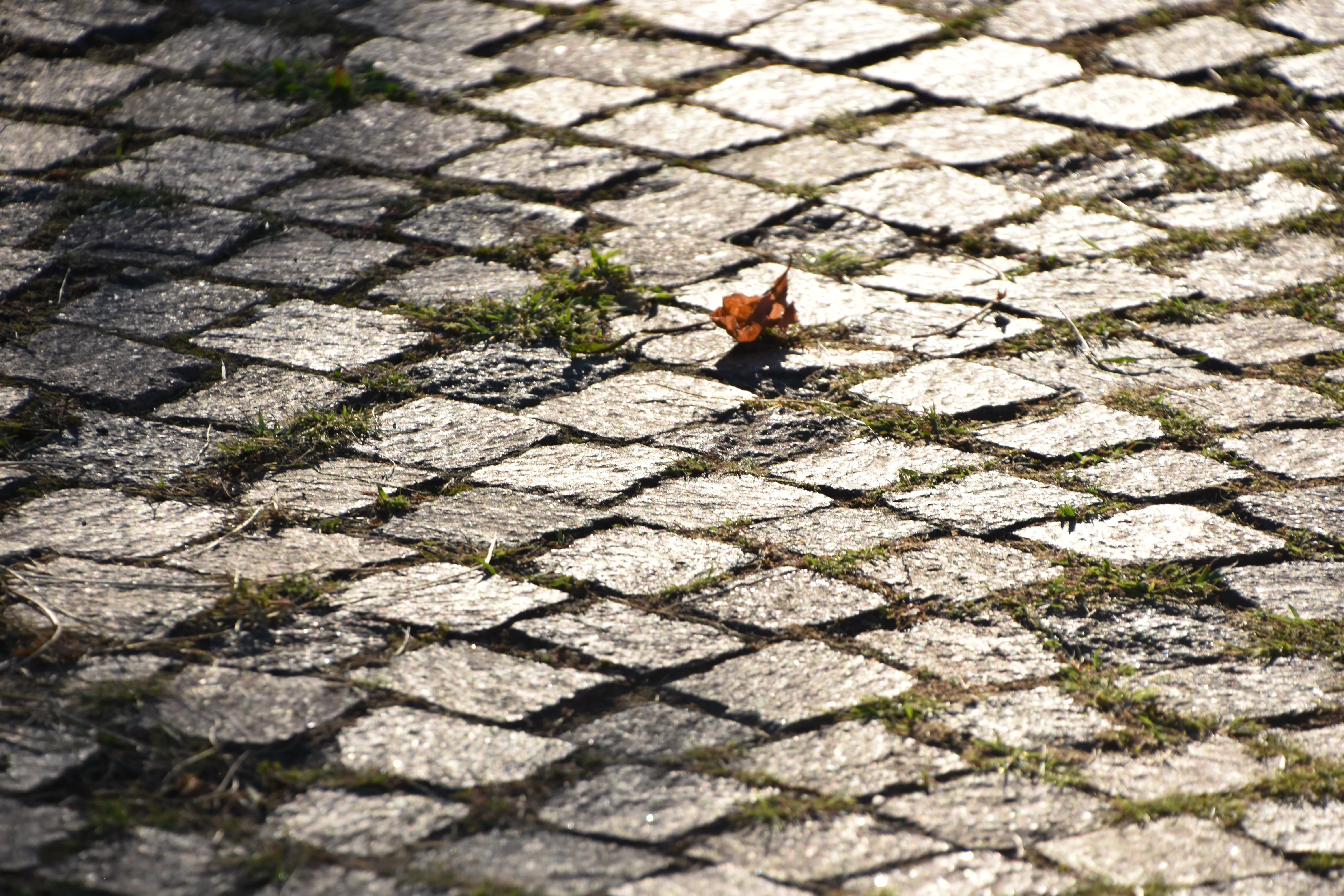 leicht versiegelter Boden_9783258083957