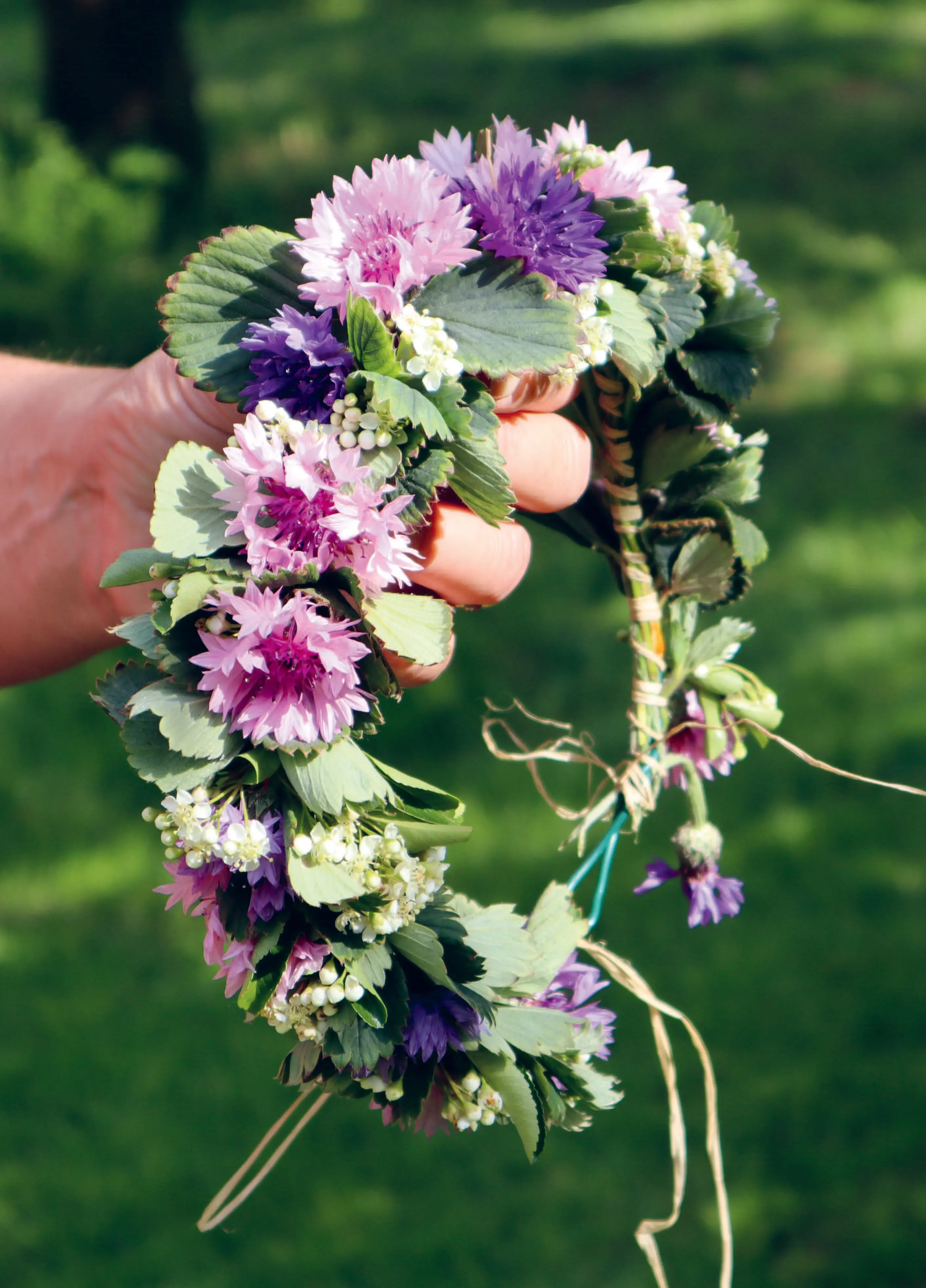 155_Mller-Navarra_Bltenreich_9783258084459(c)Annika Mller-Navarra_RGB