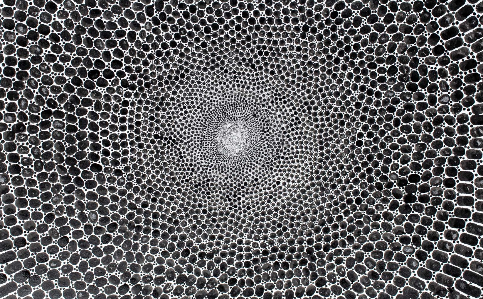 31.01.26 – Emma Herzigs Tuschzeichnungen