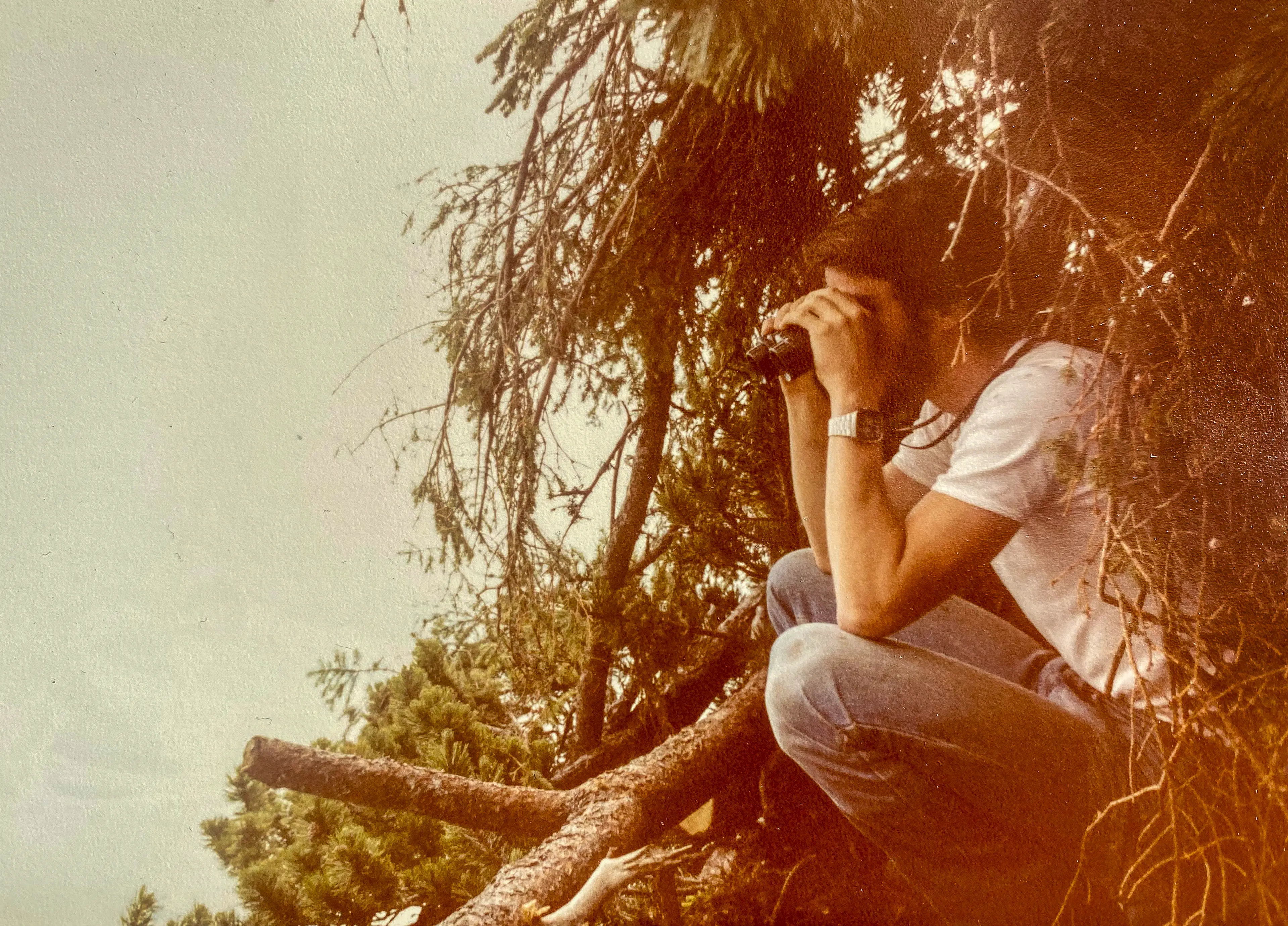 243_Jenny_Steinadler_9783258083612_(c) J. Jenny