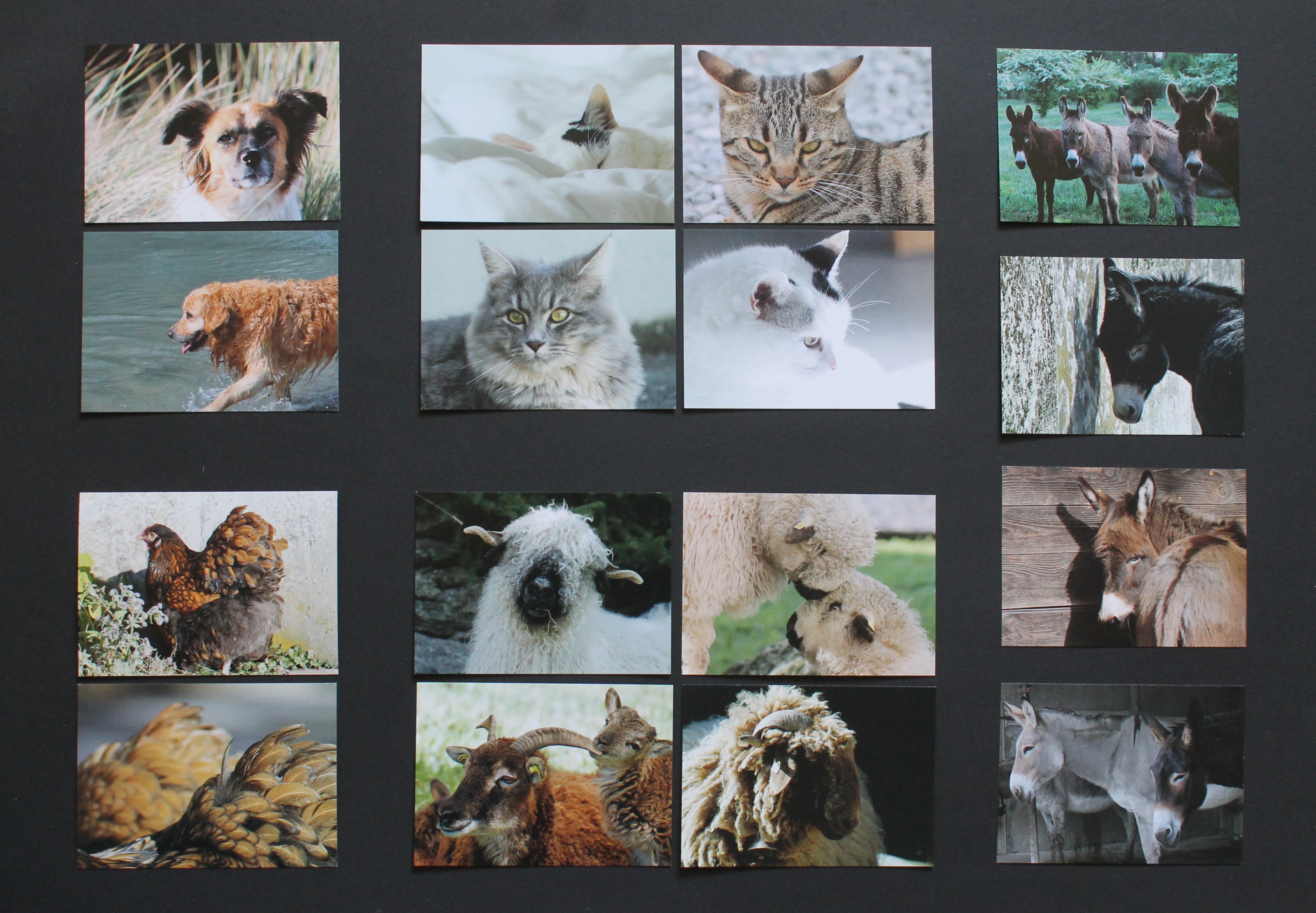 02.05.26 – Fotografie im besonderen Licht