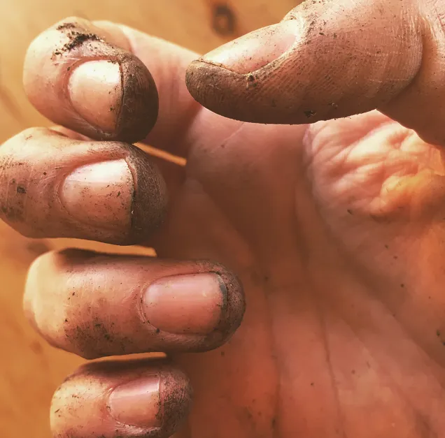 Dreckige Finger_9783258083957_(c)Fiona Hofer