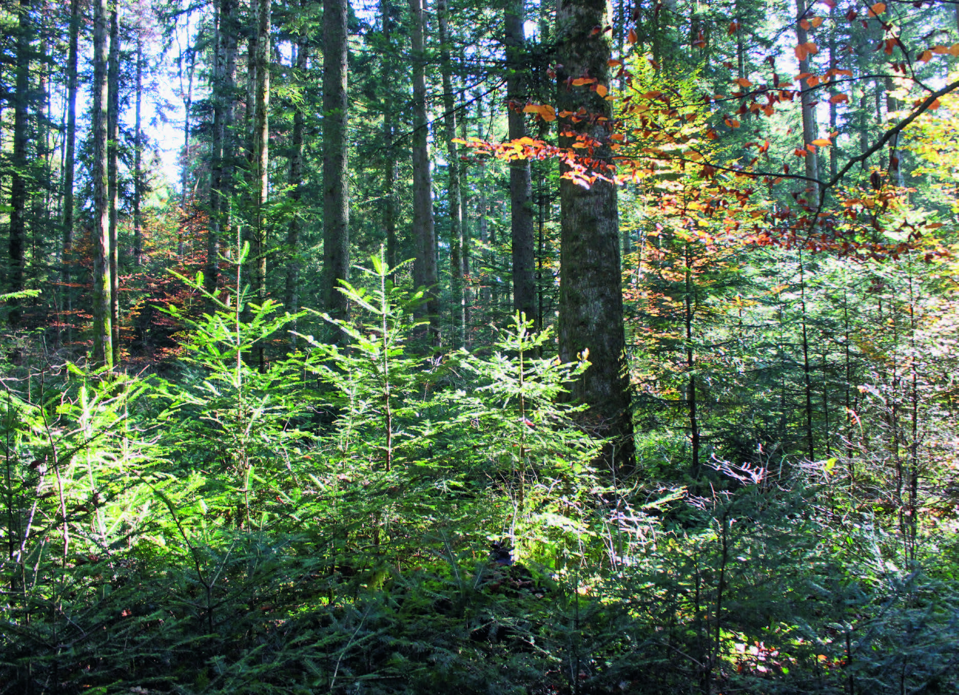HauptAutoren Julian Muhmenthaler und Peer Schilperoord 