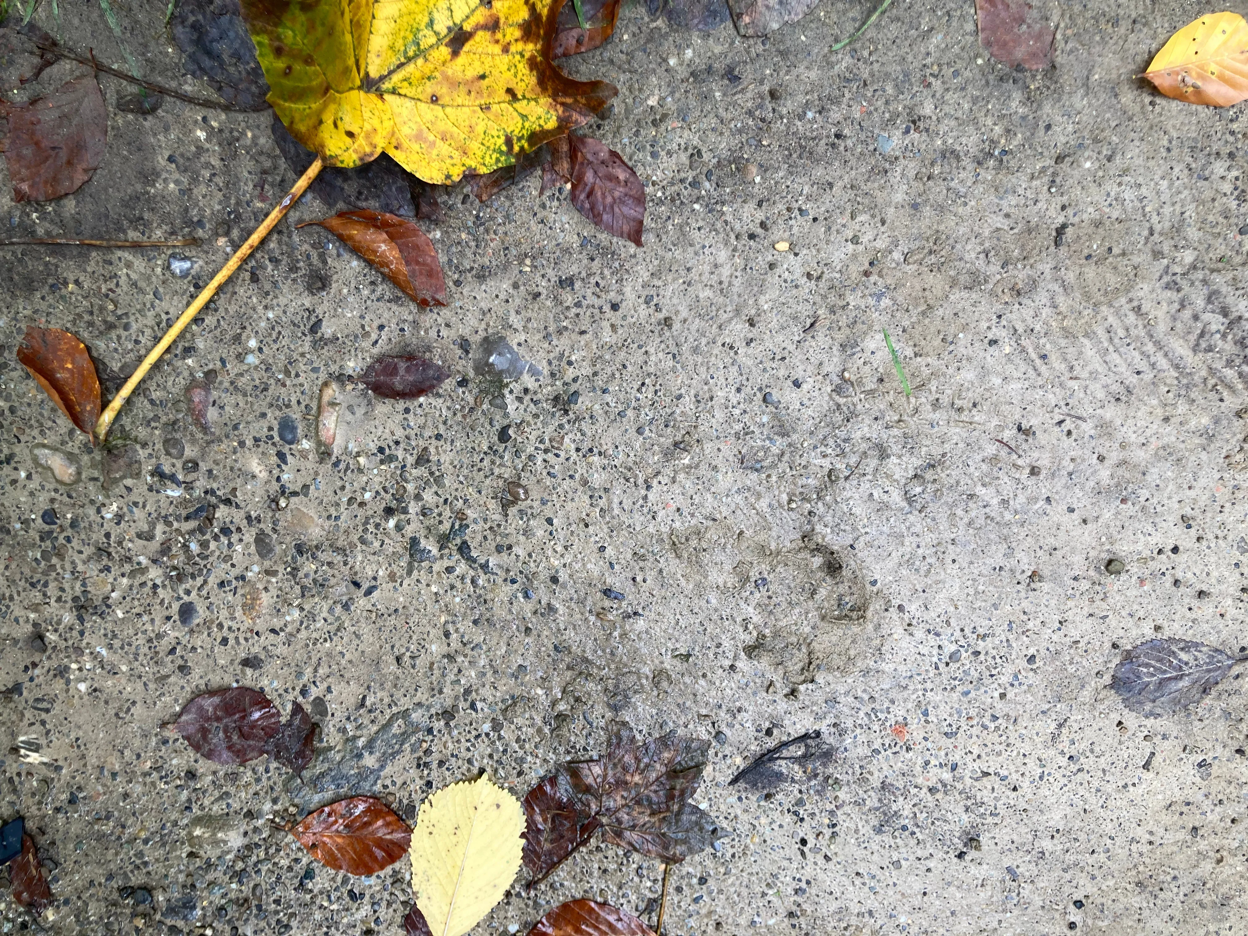 Walderde_9783258083957_(c)Fiona Hofer